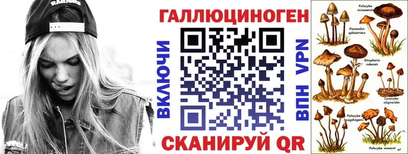 Псилоцибиновые грибы GOLDEN TEACHER  магазин    маркетплейс какой сайт  Порхов 